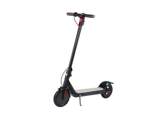 Is the Scooter Business Profitable?